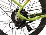NIJI SKY STEP-THRU EBIKE